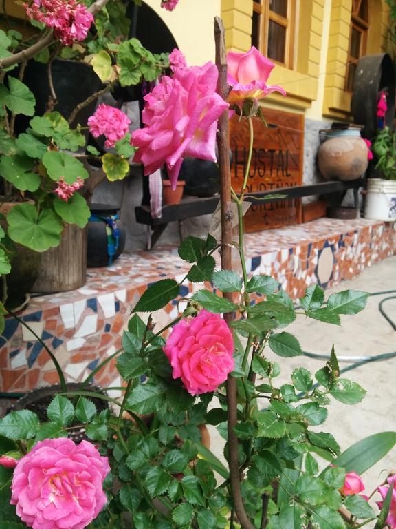 אוטהוואלו Hostal Curinan מראה חיצוני תמונה